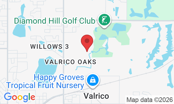 1106 Facet View Way, Valrico, FL 33594, USA