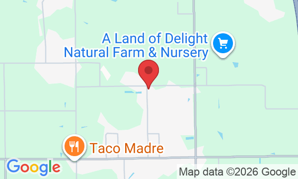 3918 Young Rd, Plant City, FL 33565, USA