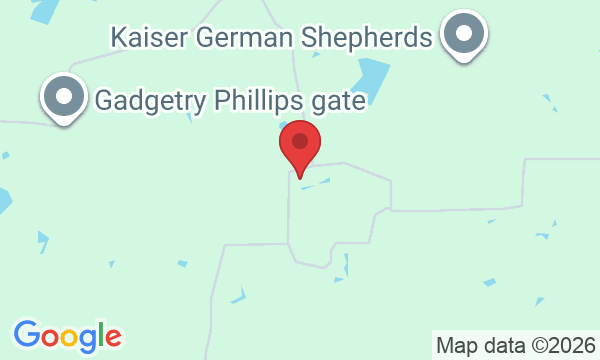 647 Co Rd 3657, Springtown, TX 76082, USA