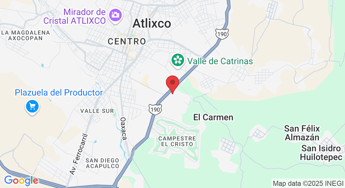 Priv. de los Fresnos 1703, Flores Magón, Campestre la Moraleda, 74294 Atlixco, Pue., México