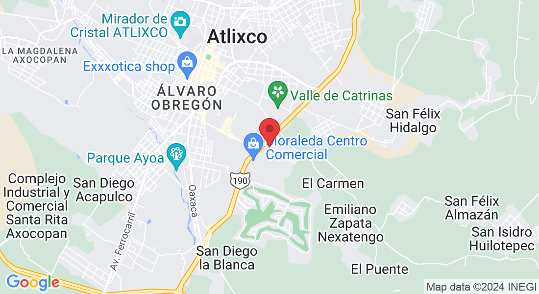 Priv. de los Fresnos 1703, Flores Magón, Campestre la Moraleda, 74294 Atlixco, Pue., México