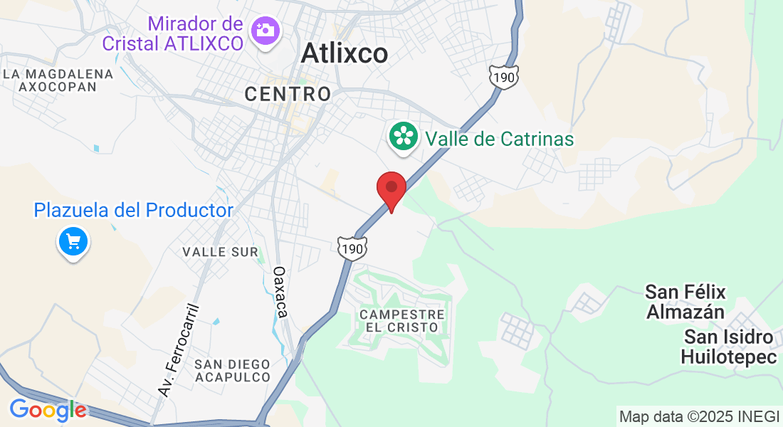 Priv. de los Fresnos 1703, Flores Magón, Campestre la Moraleda, 74294 Atlixco, Pue., México
