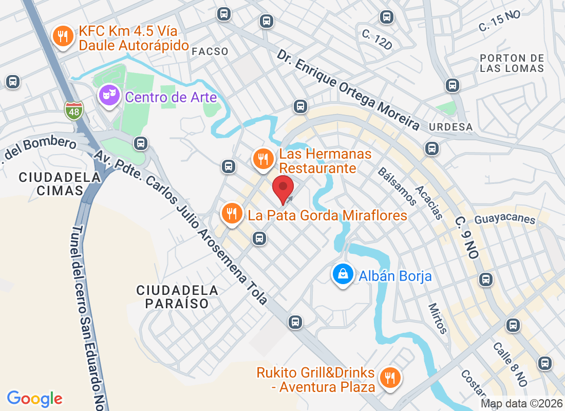 Av. Central 308, Guayaquil 090613, Ecuador