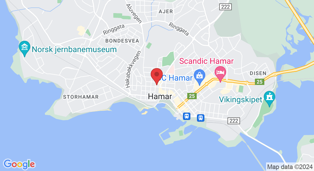 Grønnegata 113, 2317 Hamar, Norge