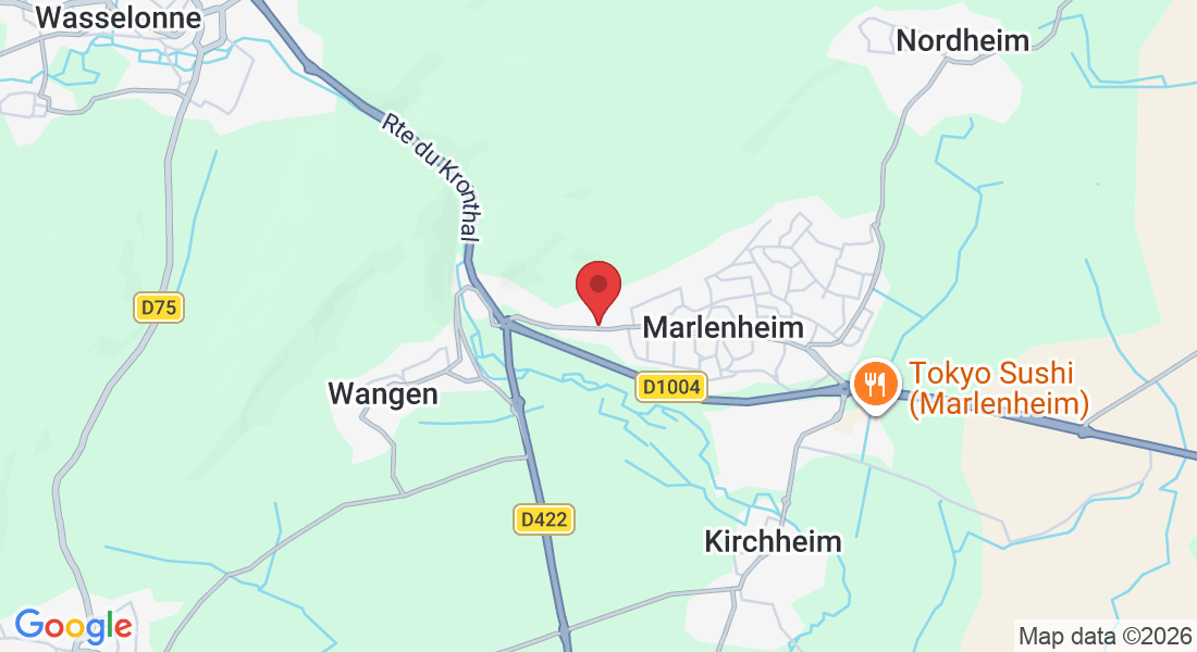 108 Rue du Général de Gaulle, 67520 Marlenheim, France