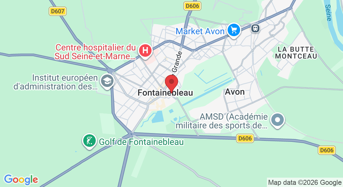 19 Rue Paul Séramy, 77300 Fontainebleau, France