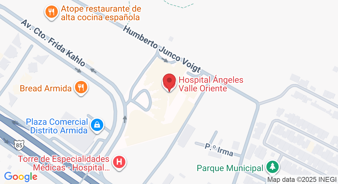 Av. Cto. Frida Kahlo 180, Valle Oriente, 66260 San Pedro Garza García, N.L., México