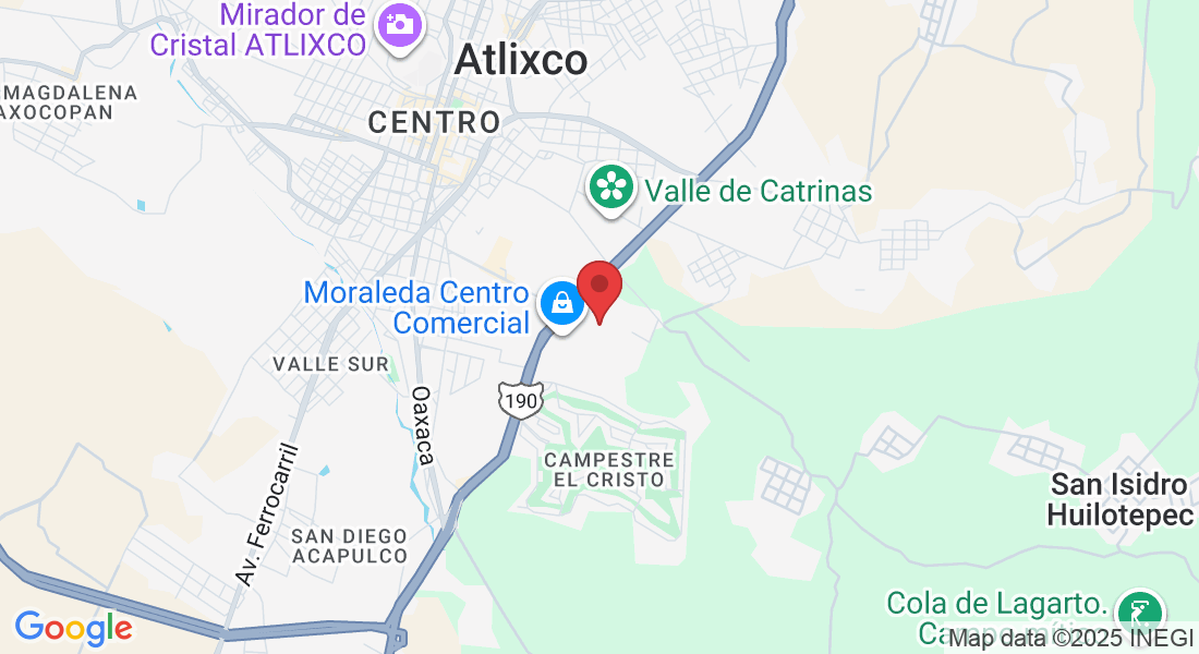 P.º de Los Sauces 2, Campestre la Moraleda, 74294 Atlixco, Pue., México