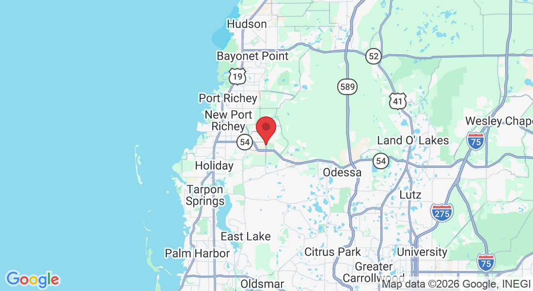 Seven Springs, FL 34655, USA