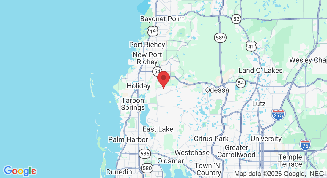Trinity, FL 34655, USA