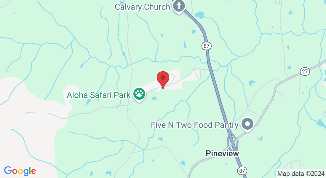 921 Milton Welch Rd, Cameron, NC 28326, USA