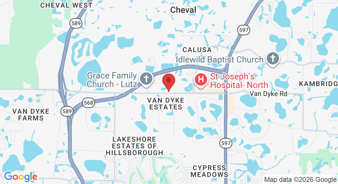 4691 Van Dyke Rd, Lutz, FL 33558, USA