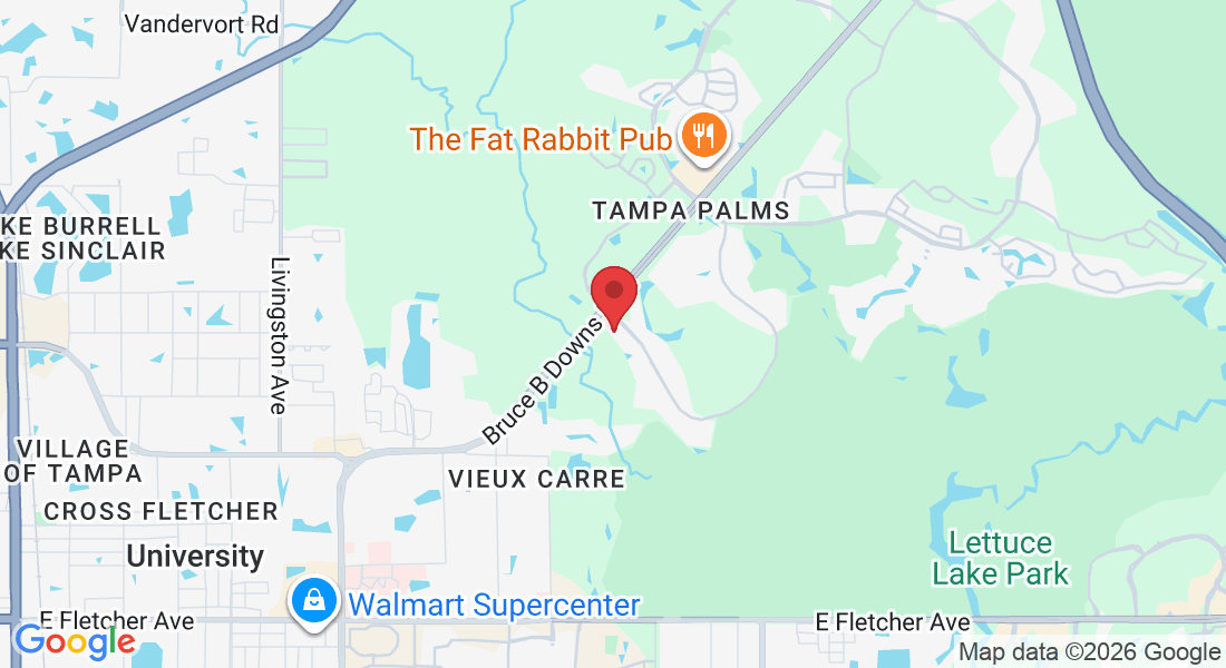15309 Amberly Dr, Tampa, FL 33647, USA
