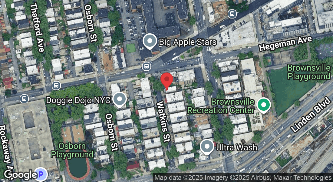 643 Watkins St, Brooklyn, NY 11212, USA