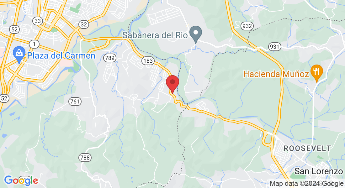 Puerto Rico 183 KM 4.8 BARRIO TOMAS DE CASTRO II, Caguas, 00725, Puerto Rico