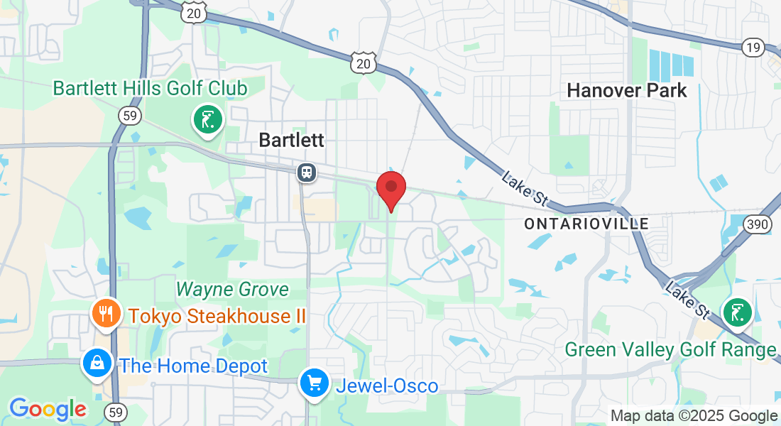 381 S Prospect Ave, Bartlett, IL 60103, EE. UU.