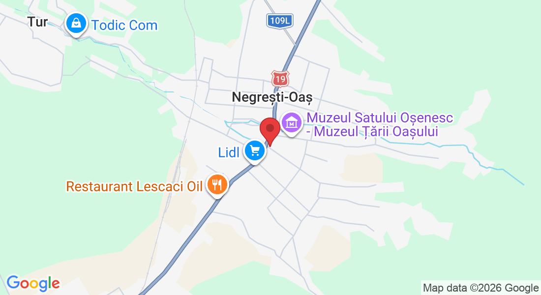 Strada Tudor Vladimirescu 1A, 3, 445200 Negrești-Oaș, Romania