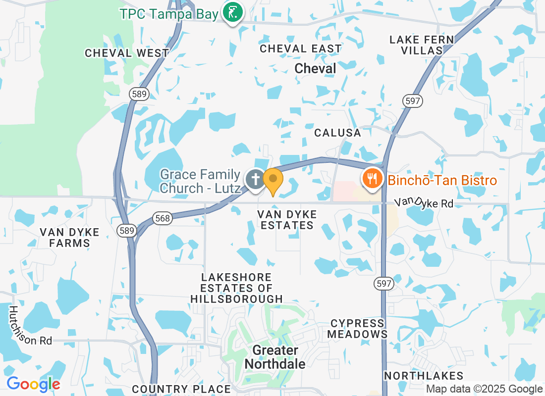 4921 Van Dyke Rd, Lutz, FL 33558, EE. UU.