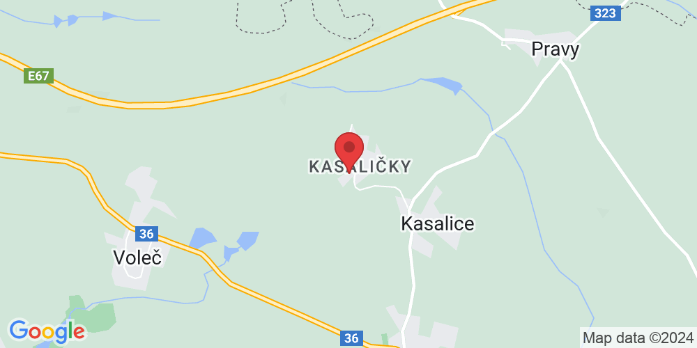 Kasaličky 31, 533 41 Kasalice-Lázně Bohdaneč, Česko