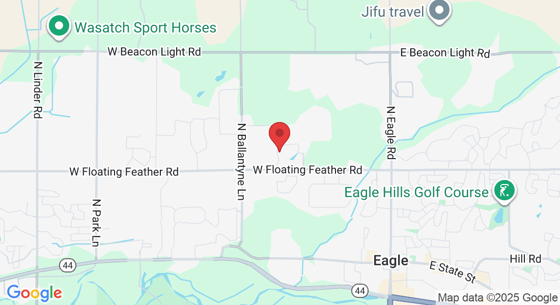 1482 Foresto Bello Wy N, Eagle, ID 83616, USA