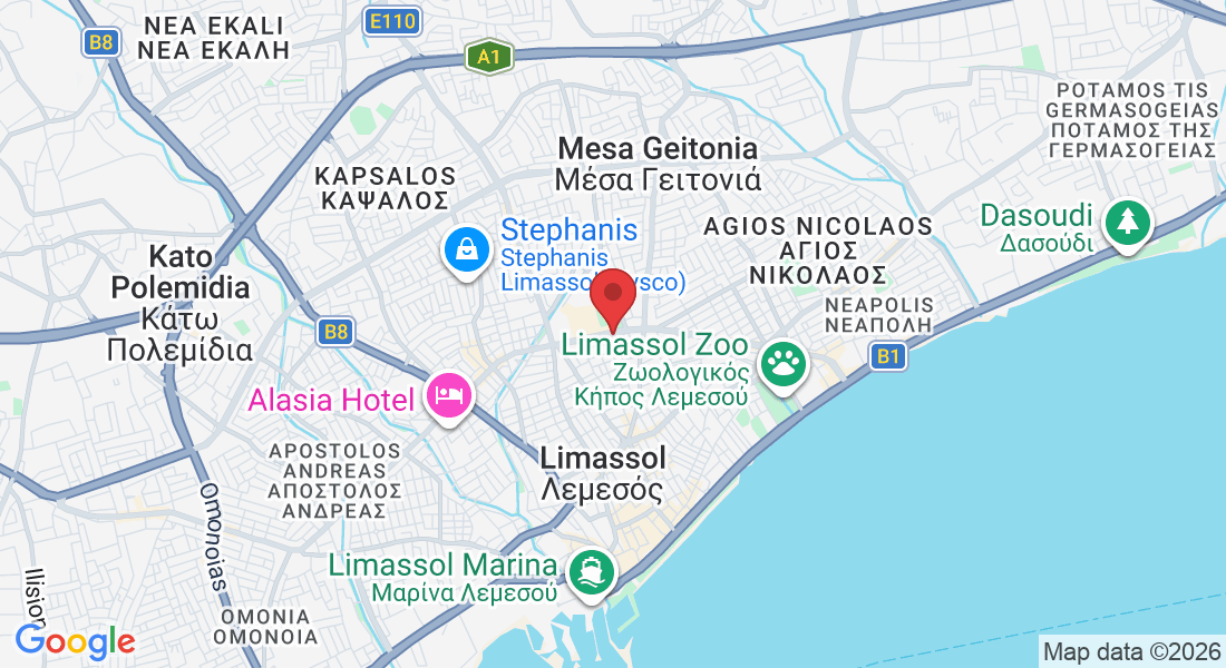 Arch. Makarios III Avenue 180, Lemesos 3027, Cyprus