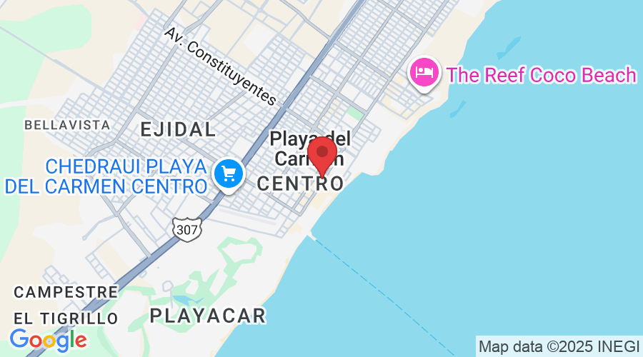 10 Avenida Norte entre calles 8 y 10, PLaza Pelicanos, Local 15, Gonzalo Guerrero, 77720 Playa del Carmen, Q.R., México