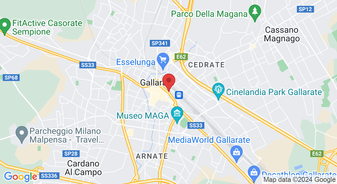 Via Luigi Borghi, 14, 21013 Gallarate VA, Italia