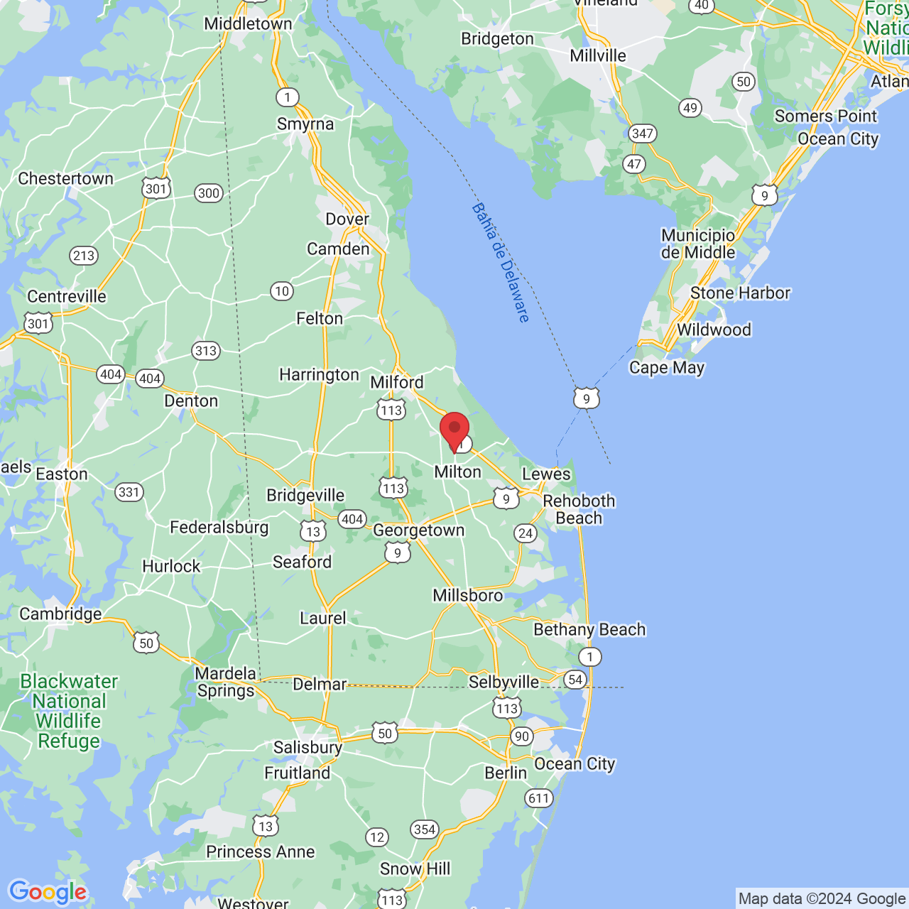41 E Greenwing Dr, Milton, DE 19968, EE. UU.