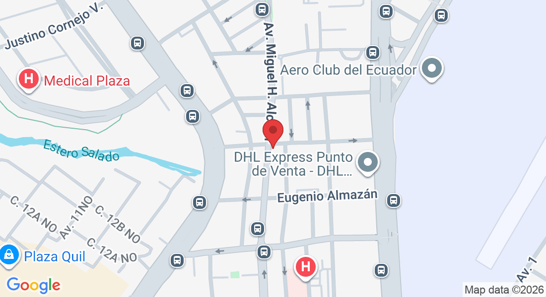 piso 5, oficina 506, Edificio Plaza Center, Av. Miguel H. Alcivar, Guayaquil 090506, Ecuador