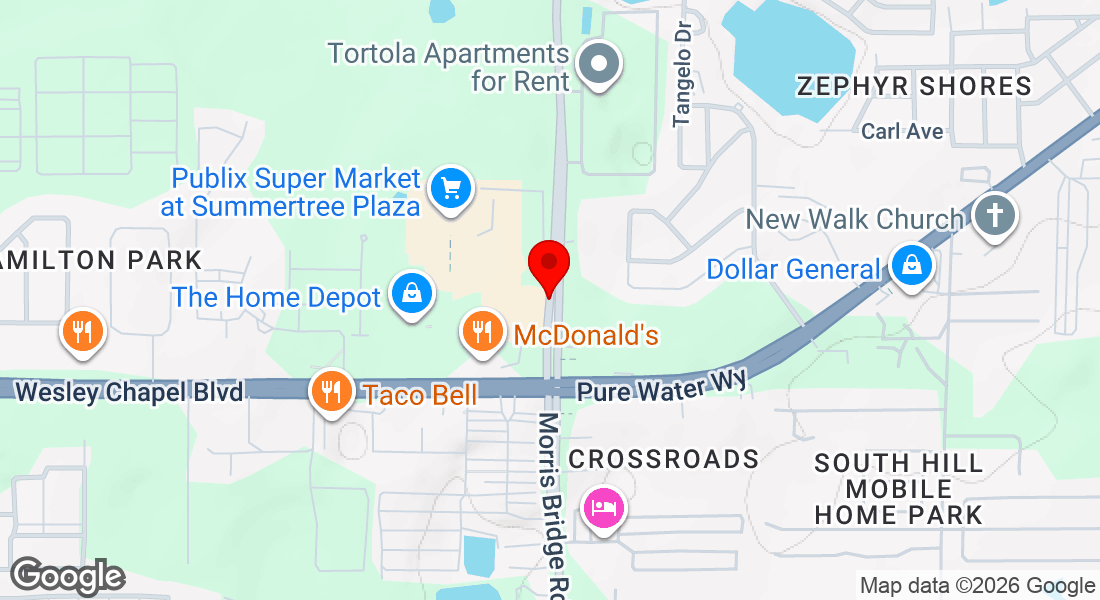 32733 Eiland Blvd, Wesley Chapel, FL 33545, USA