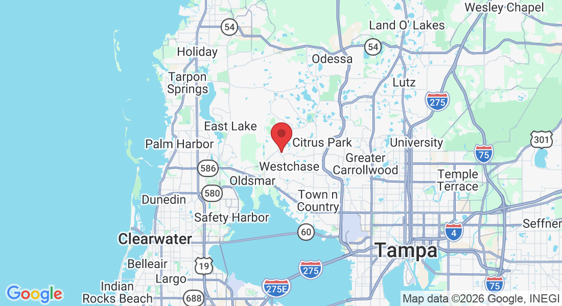 12033 Tuscany Bay Dr, Westchase, FL 33626, EUA
