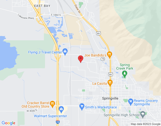 1180 N Mountain Spgs Pkwy Suite 237, Springville, UT 84663, USA