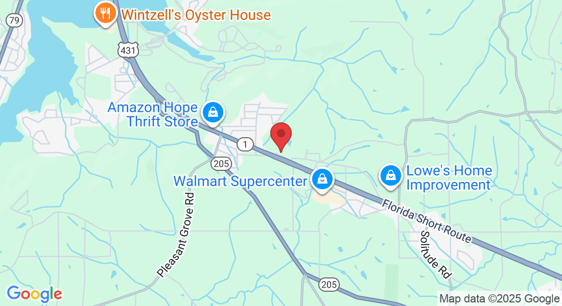 12312 US-431, Guntersville, AL 35976, USA