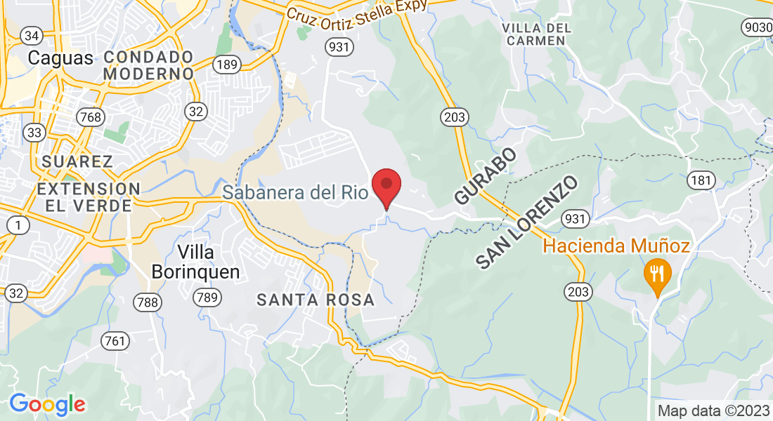 248 Camino de los Girasole, Gurabo, 00778, Puerto Rico