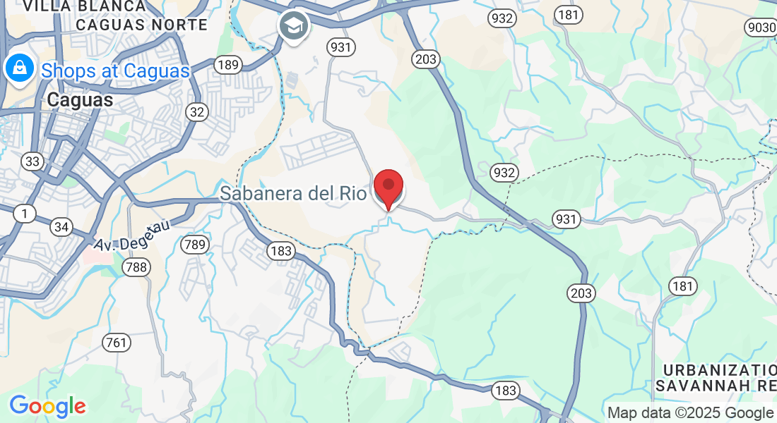 248 Camino de los Girasole, Gurabo, 00778, Puerto Rico