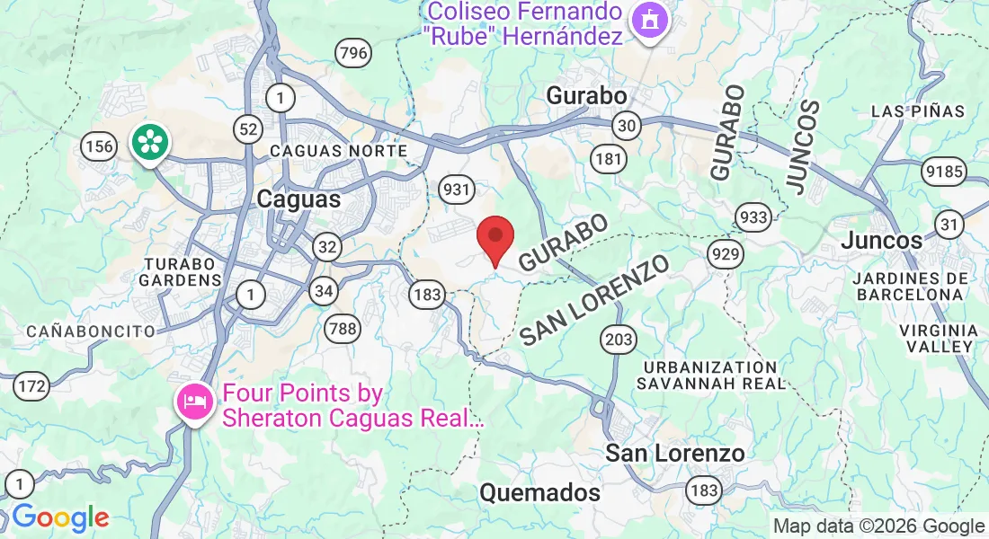 248 Camino de los Girasole, Gurabo, 00778, Puerto Rico