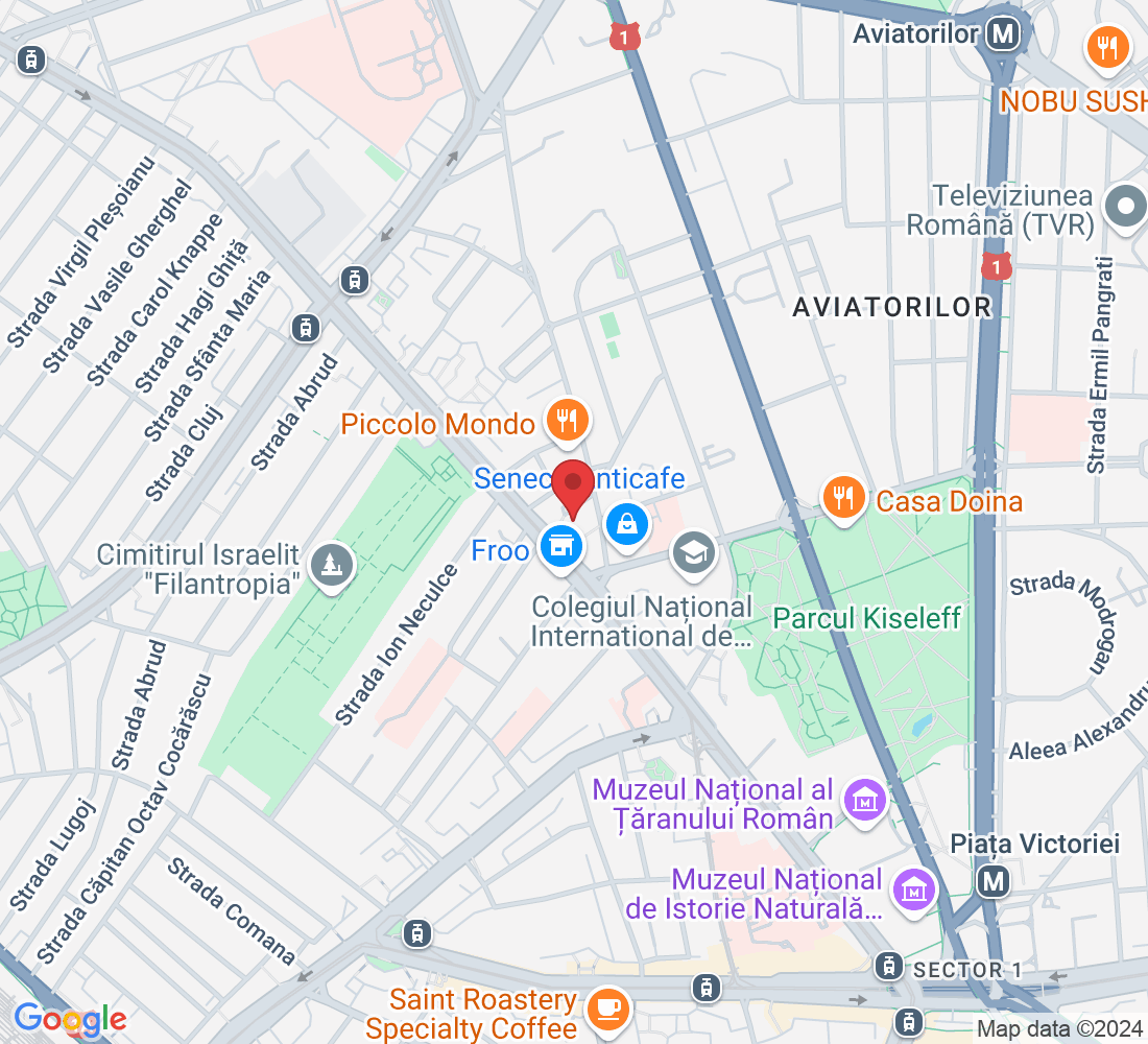 Bulevardul Ion Mihalache 62, București 011195, Romania