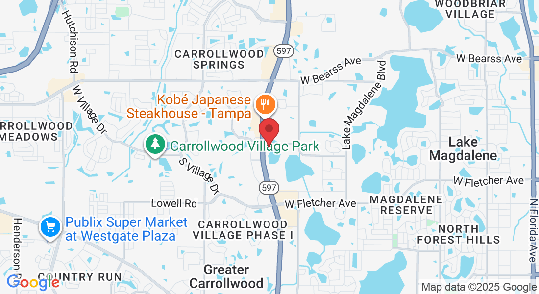 3418 Handy Rd, Tampa, FL 33618, USA