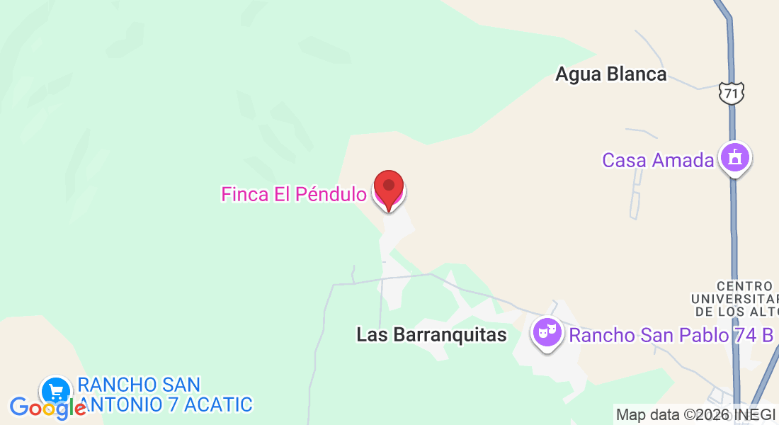 Camino al Saucillo 861, 47600 Tepatitlán de Morelos, Jal., Mexico