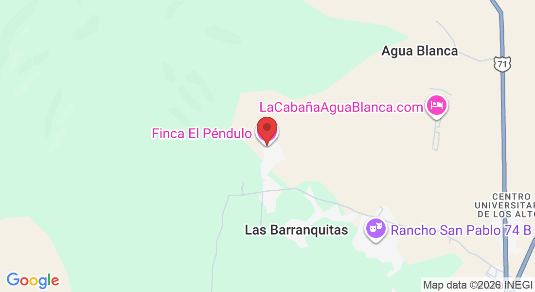 Camino al Saucillo 861, 47600 Tepatitlán de Morelos, Jal., Mexico