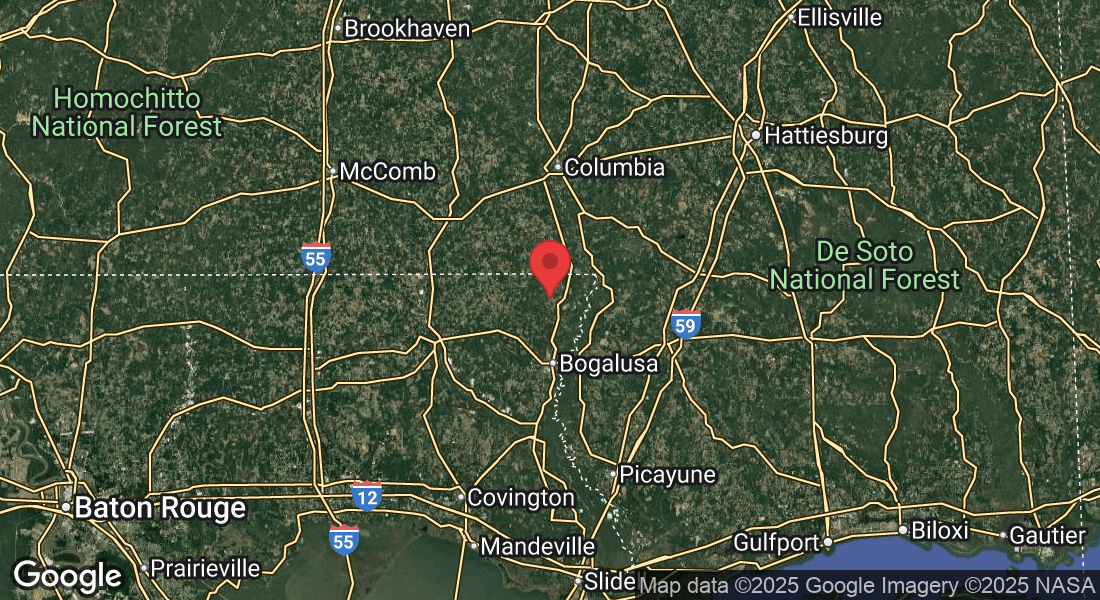 28552 H H Williams Rd, Angie, LA 70426, USA