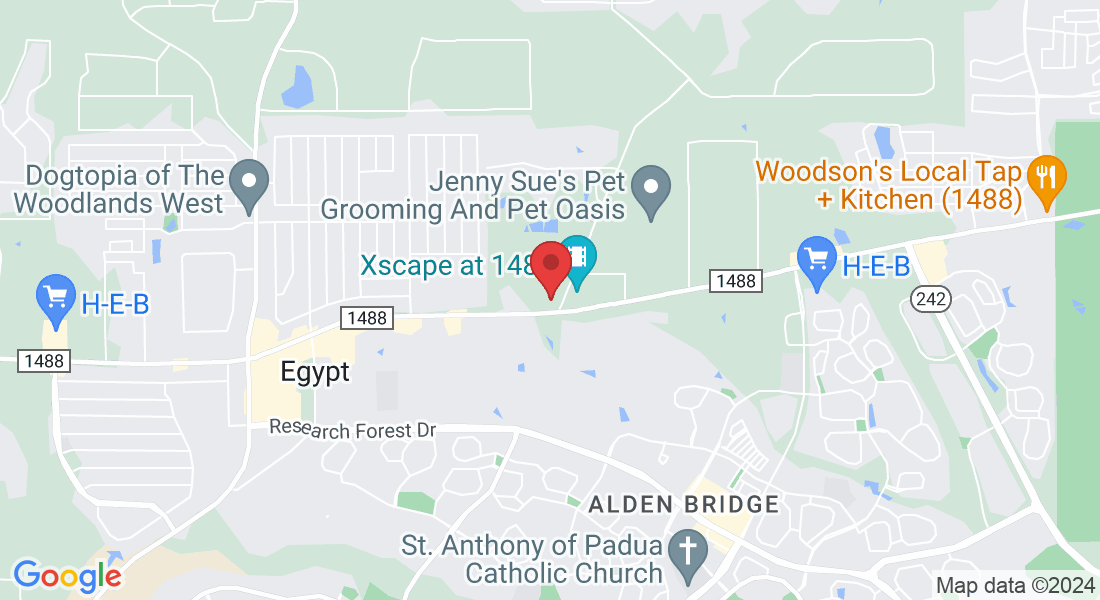 525 Woodland Square Blvd suite 140, Conroe, TX 77384, USA