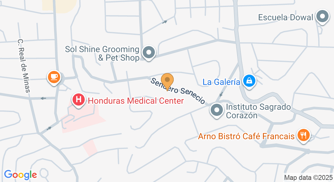 Col. Los Castaños Sur, Sendero Senecio, Tegucigalpa, Francisco Morazán, Honduras