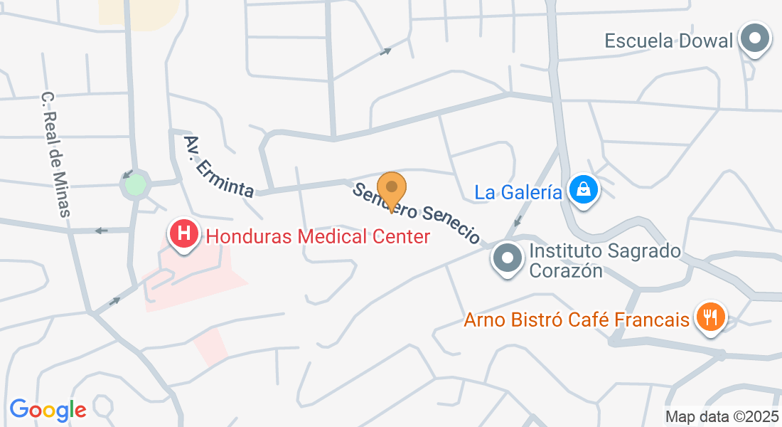 Col. Los Castaños Sur, Sendero Senecio, Tegucigalpa, Francisco Morazán, Honduras