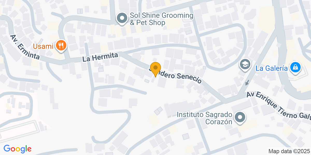 Col. Los Castaños Sur, Sendero Senecio, Tegucigalpa, Francisco Morazán, Honduras