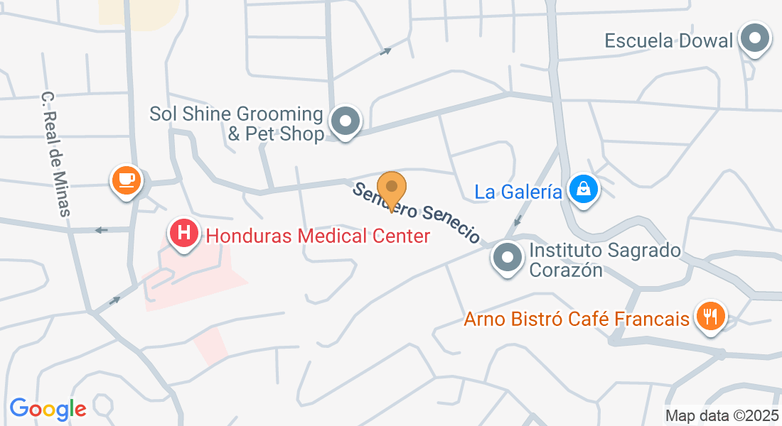 Col. Los Castaños Sur, Sendero Senecio, Tegucigalpa, Francisco Morazán, Honduras