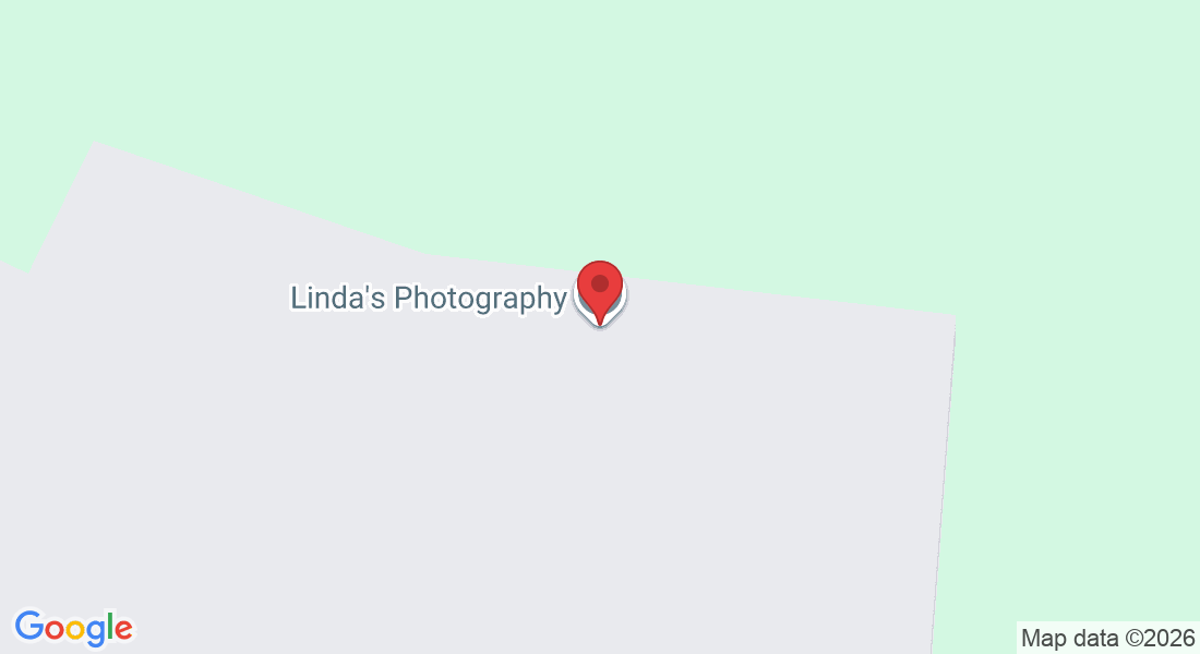 1688 River St N, Delano, MN 55328, USA