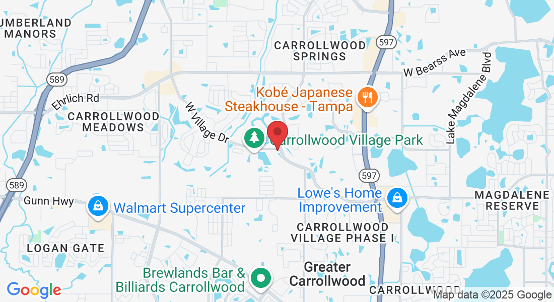 4522 W Village Dr, Tampa, FL 33624, USA