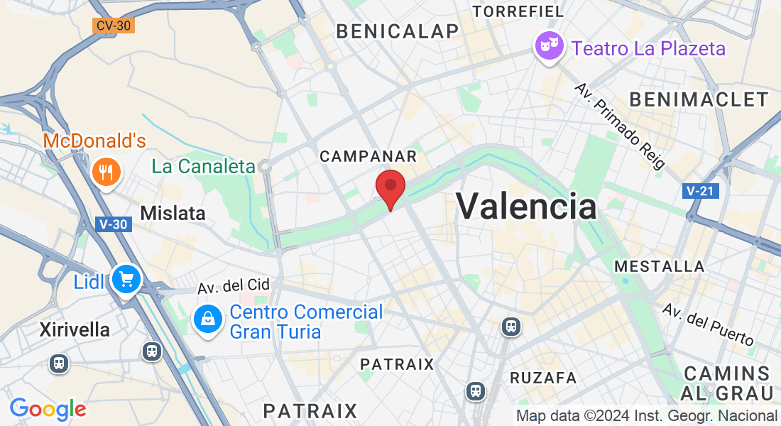 Pg. de la Petxina, 34, Extramurs, 46008 València, Valencia, España