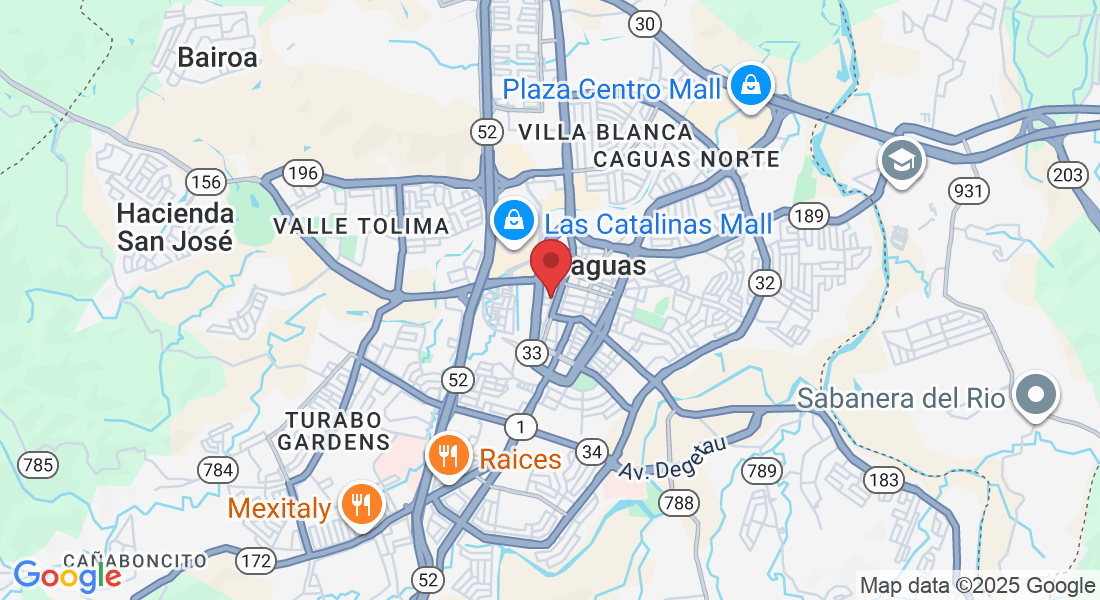 Calle Padial, Caguas, 00725, Puerto Rico